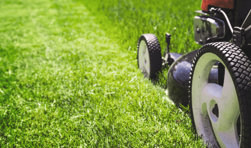 LAWN CARE